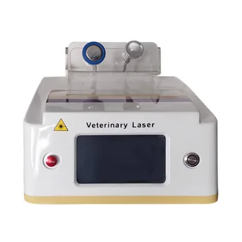 Laser Valu Veenides Eemaldamise Masin 980Nm Veterinaar-Kahjustus Ravi Kõrvaldada Valu Koer Laser Masin