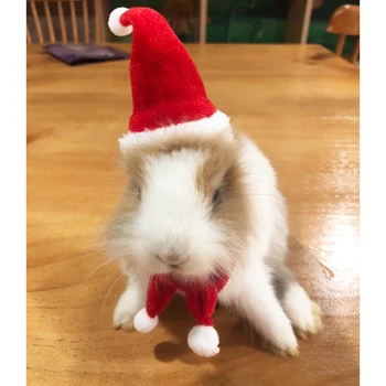 Väike Pet Jõulud Müts Puuvillane Hamster Santa Claus Kork Sall Pet Cosplay DIY Siil merisiga Hamster Tarvikud