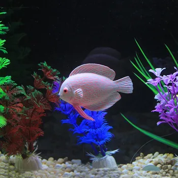 Parim Hind Akvaariumi Silikoon Kunstlik Hõõguv Troopiline Kala Kala Tank Teenetemärgi Helendav Haldjas Kala Paabulind Kala Ornament